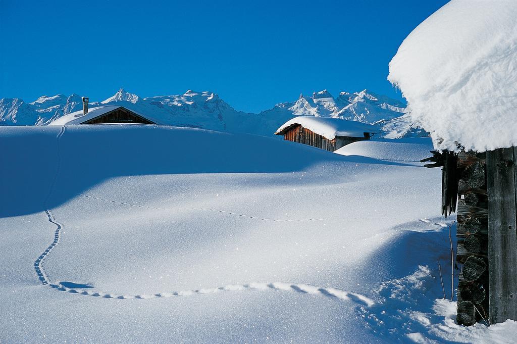 Chalet Zamang Schruns Exteriér fotografie